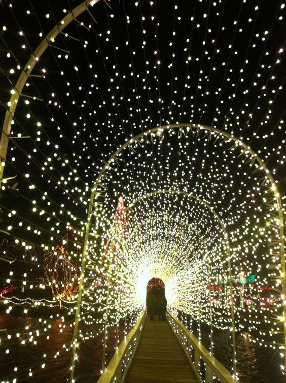 fairy lights