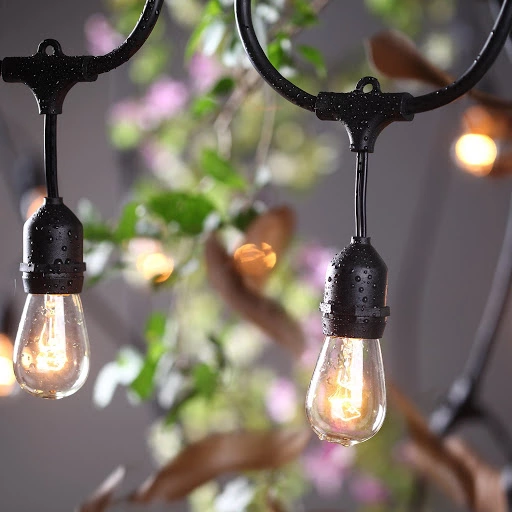 Commercial S14 Bulb Festoon Lights