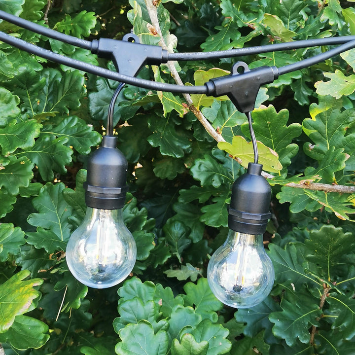 Drop Hang Festoon Lights | A60 Clear Bulbs | Connectable & Dimmable